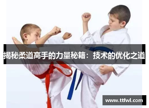 揭秘柔道高手的力量秘籍：技术的优化之道