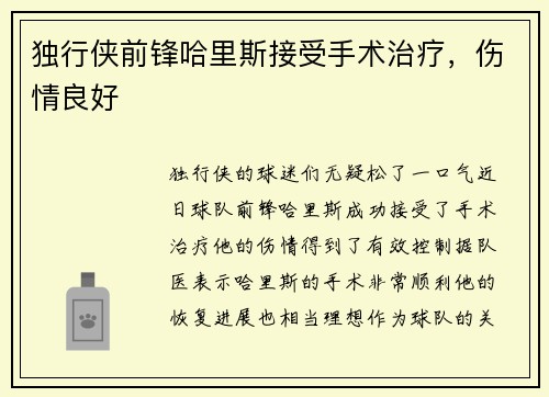 独行侠前锋哈里斯接受手术治疗，伤情良好